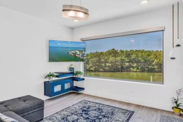 living room with wood finished floors