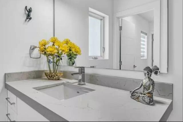 bathroom with vanity and a wealth of natural light