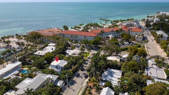 bird's eye view with a water view