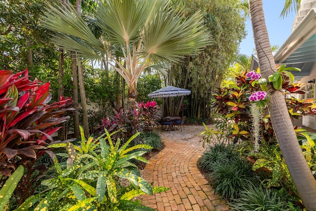 view of yard featuring a patio