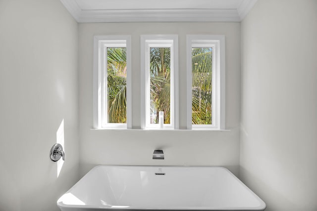 bathroom featuring a washtub and crown molding