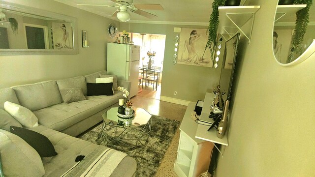 living room with ceiling fan and ornamental molding