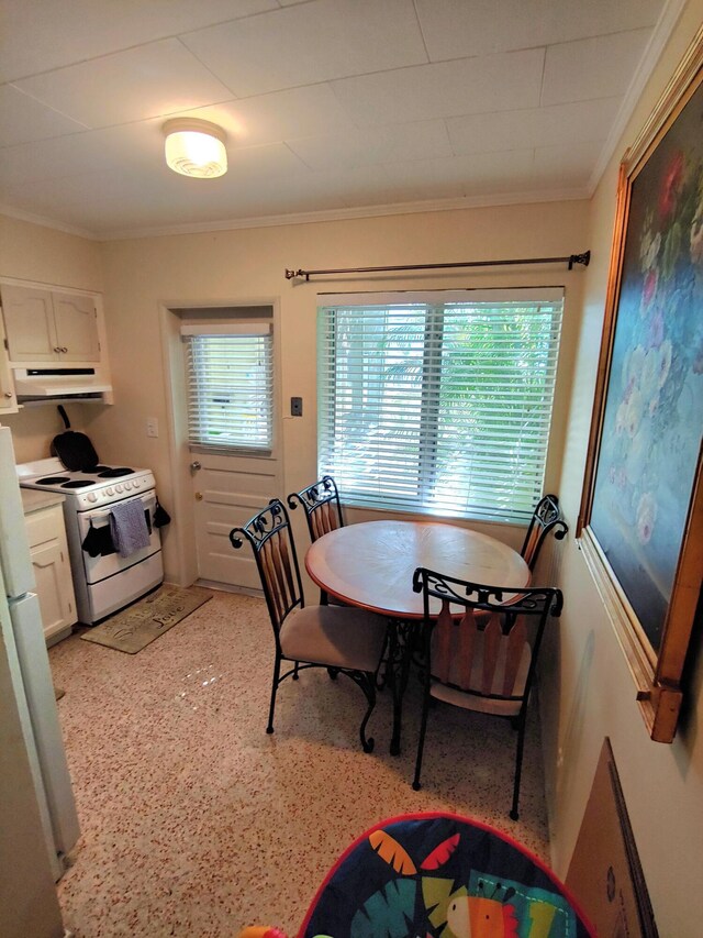 dining room featuring ornamental molding and a healthy amount of sunlight