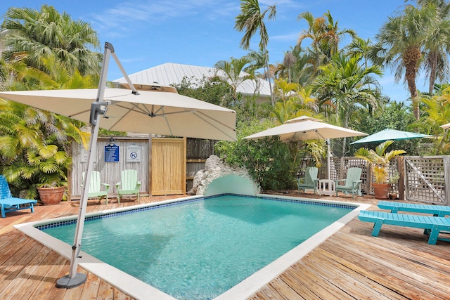 1001 United St Unit B, Key West, FL 33040 - photo 15