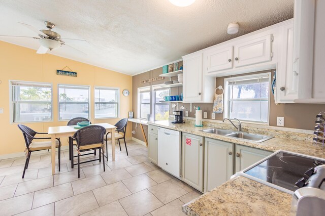 kitchen featuring dishwasher, sink, a wealth of natural light, and white cabinets