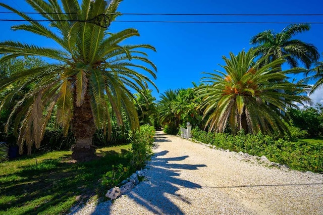 view of road