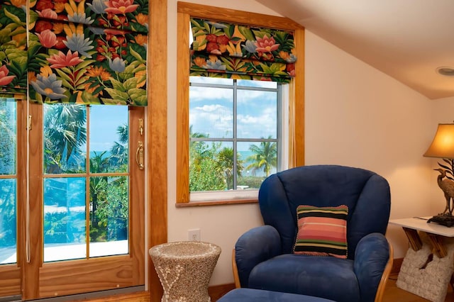 living area featuring vaulted ceiling