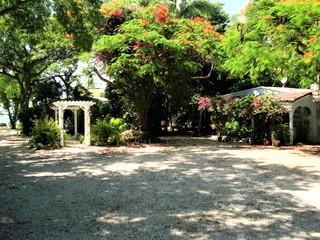 view of yard featuring a pergola