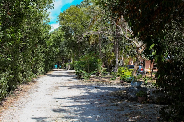 view of road