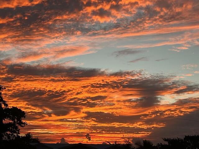 view of nature at dusk