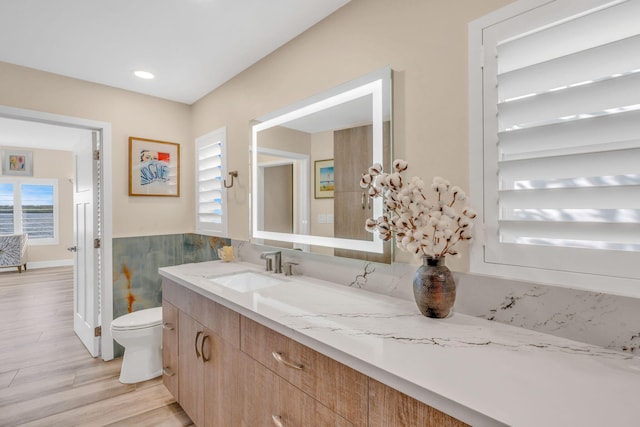 bathroom with vanity, wood-type flooring, and toilet