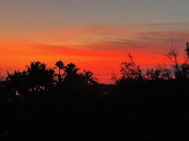 view of nature at dusk