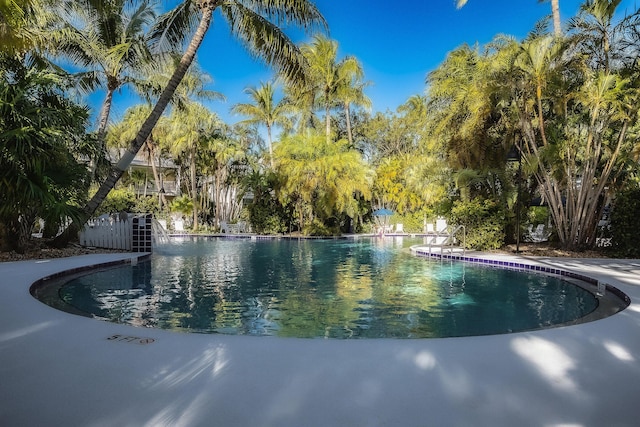 1 Spoonbill Way, Key West, FL 33040 - photo 19