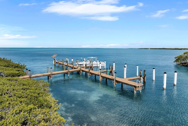 dock area with a water view