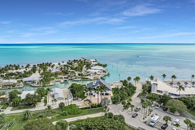 91 Iroquois Dr, Islamorada, FL 33036 - photo 101