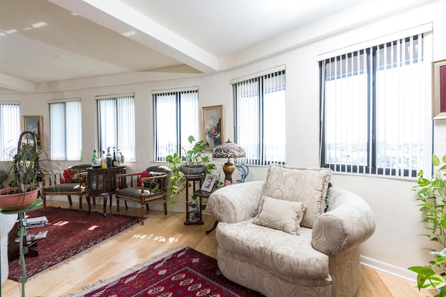 living room with beam ceiling, light hardwood / wood-style floors, and a healthy amount of sunlight