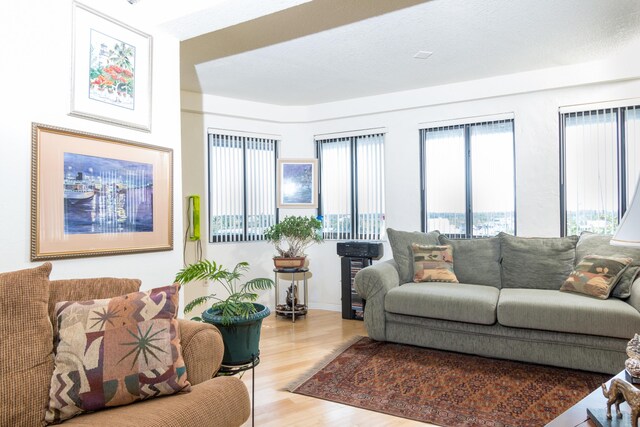 living room with hardwood / wood-style flooring