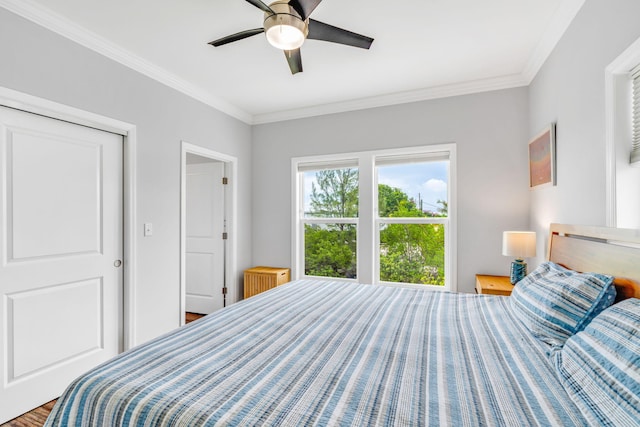 1777 Pine Channel Dr, Little Torch, FL 33042 - bedroom featuring ornamental molding and a ceiling fan