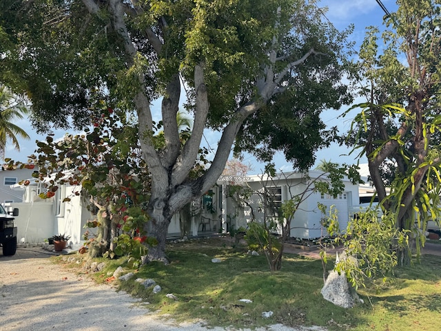 view of property hidden behind natural elements featuring stucco siding, gravel driveway, and a front yard