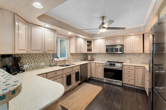 188 Indian Mound Trl, Islamorada, FL 33036 - kitchen with appliances with stainless steel finishes, a raised ceiling, a sink, ornamental molding, and light brown cabinetry