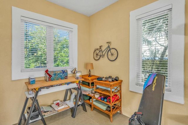 home office with carpet flooring