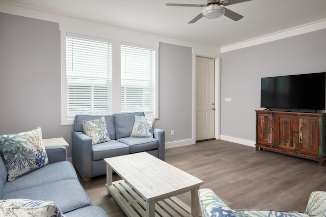 living room with dark hardwood / wood-style flooring, ornamental molding, and ceiling fan