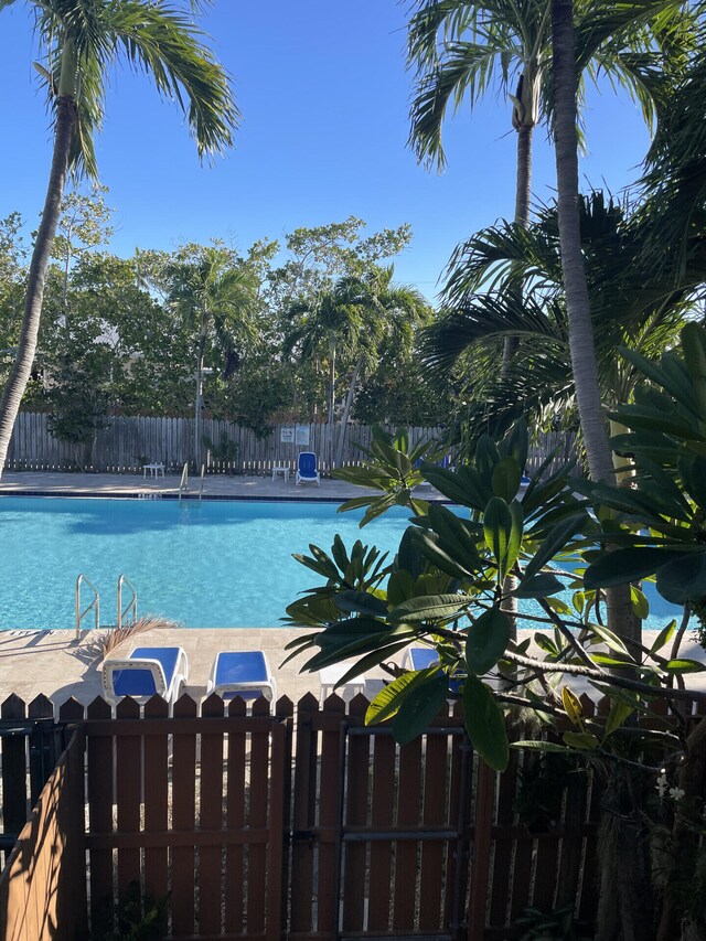 view of swimming pool