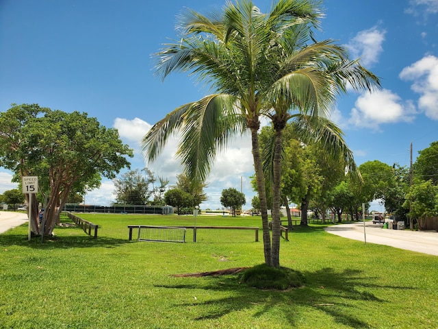 view of property's community with a yard