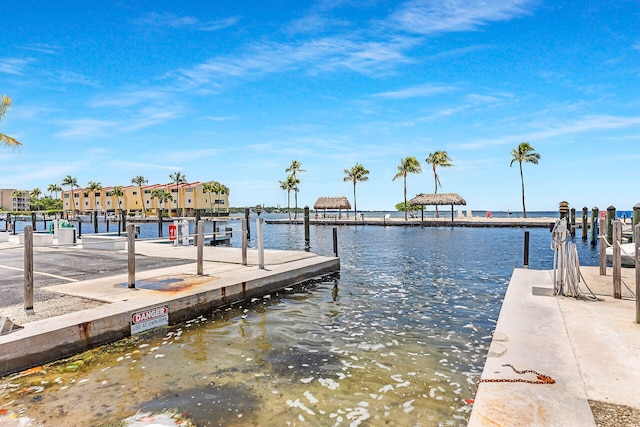 dock area with a water view