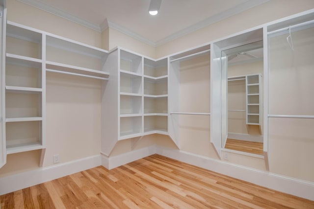 spacious closet with hardwood / wood-style floors