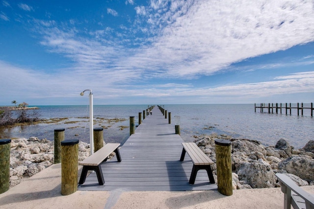 dock area with a water view