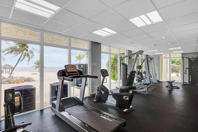 exercise room with a drop ceiling and floor to ceiling windows