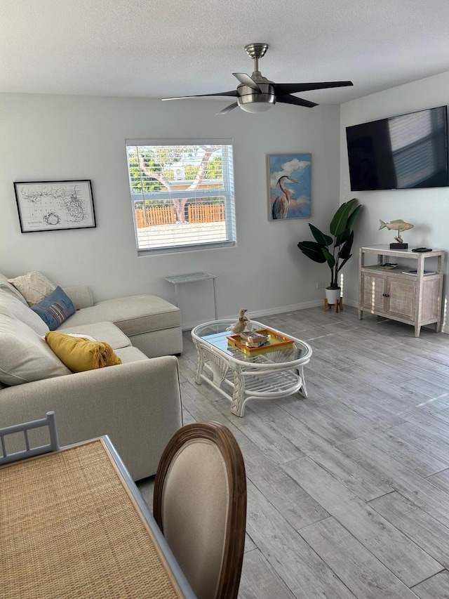 living room featuring ceiling fan, light hardwood / wood-style floors, and a textured ceiling