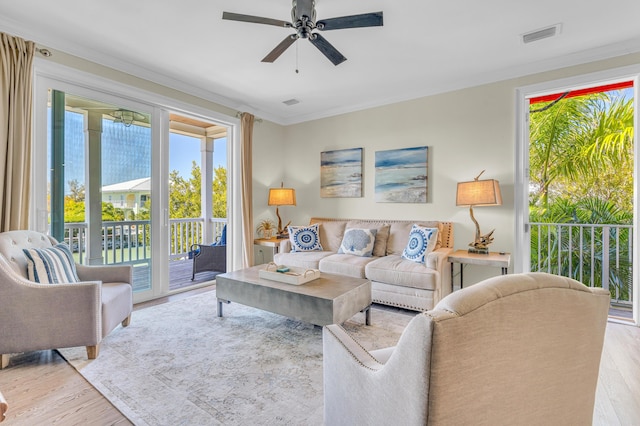 living room featuring ornamental molding, ceiling fan, and light wood-type flooring