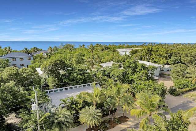 81975 Old Hwy, Islamorada, FL 33036 - photo 27