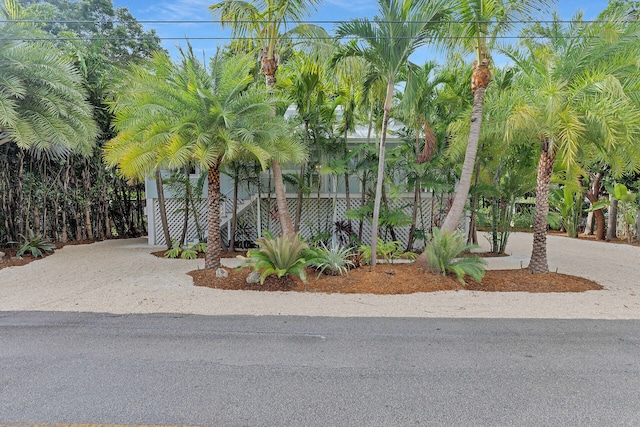 81975 Old Hwy, Islamorada, FL 33036 - photo 2