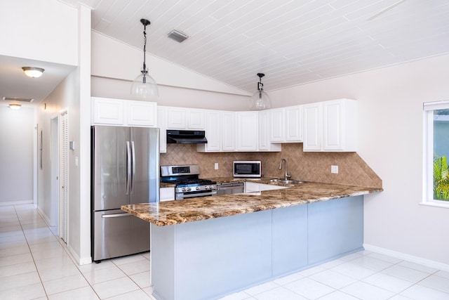 kitchen with lofted ceiling, under cabinet range hood, appliances with stainless steel finishes, a peninsula, and light stone countertops