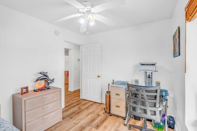 office area featuring light wood finished floors and a ceiling fan