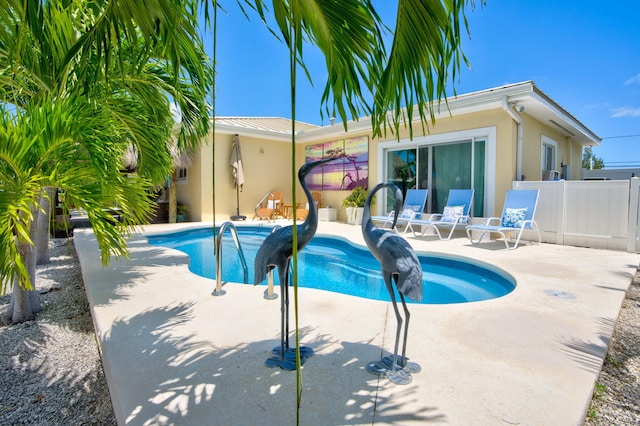 view of swimming pool with a patio