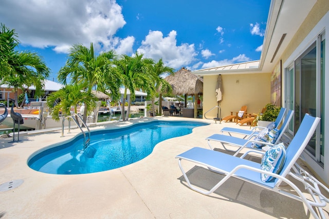 view of pool with a patio area