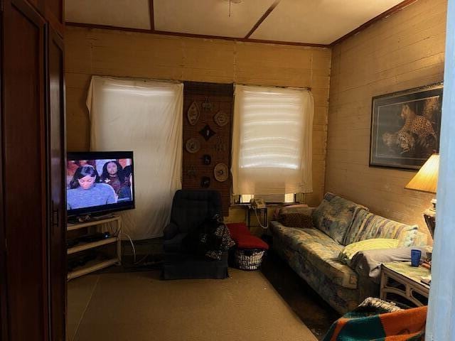 living area with carpet floors