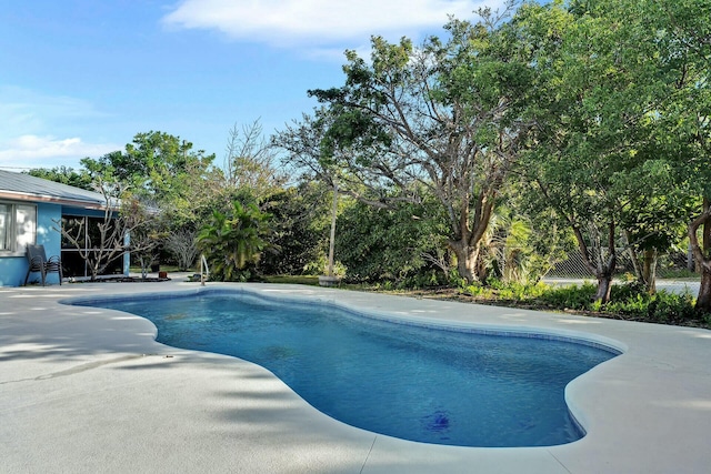 view of pool featuring a patio area