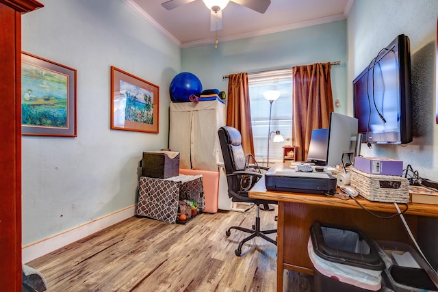 office featuring crown molding, ceiling fan, and light hardwood / wood-style flooring