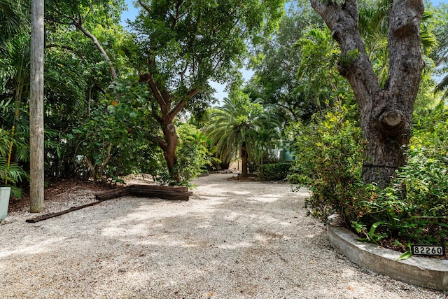 82260 Overseas Hwy, Islamorada, FL 33036 - view of yard