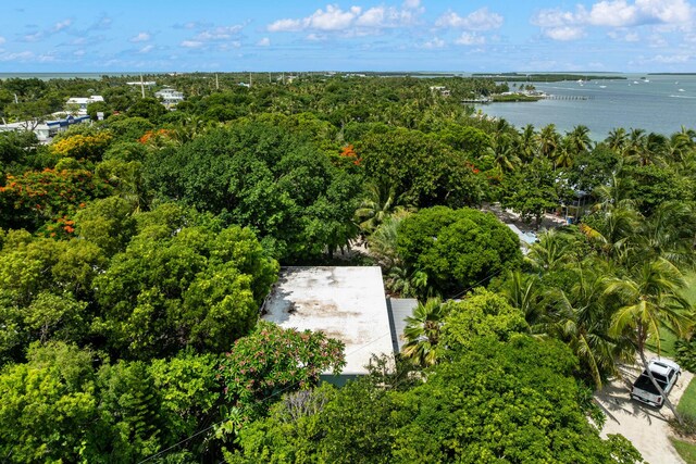 82260 Overseas Hwy, Islamorada, FL 33036 - drone / aerial view of a nearby body of water and a forest