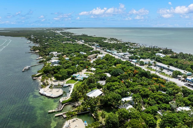 82260 Overseas Hwy, Islamorada, FL 33036 - drone / aerial view of a large body of water and a tree filled landscape