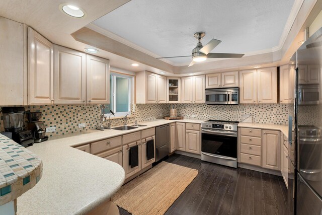 kitchen with appliances with stainless steel finishes, sink, dark wood-type flooring, and a tray ceiling