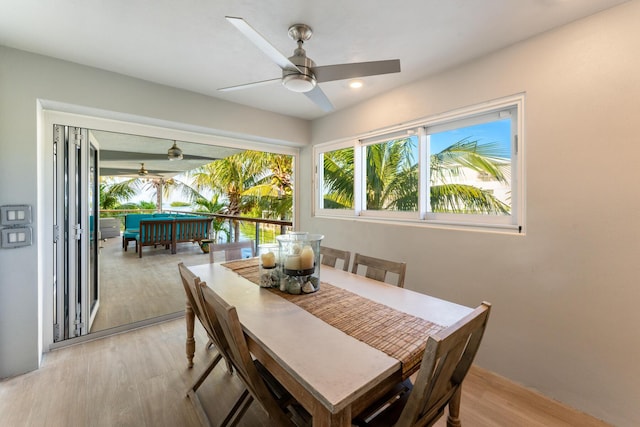 dining area with ceiling fan and light wood-type flooring