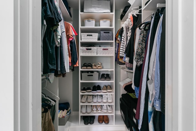 view of spacious closet