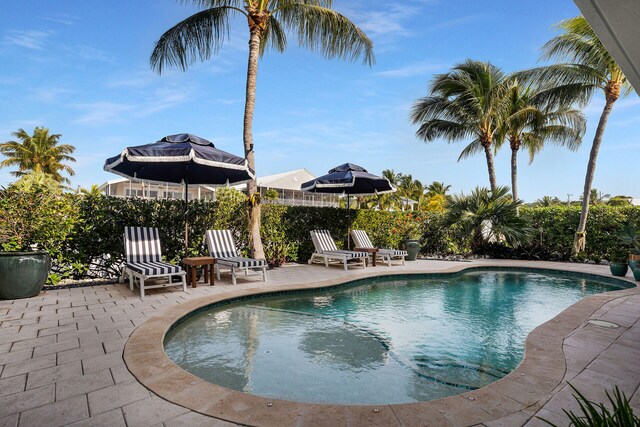 view of swimming pool featuring a patio area